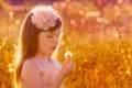 Allergy season - lovely little girl outdoor blowing dandelion over golden field, summer sunset nature outdoor. Soft focus Royalty Free Stock Photo