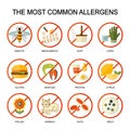 Allergy symptoms vector flat style illustration. The most common allergens icons set. Medicine and health symbols.