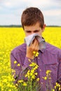 Pollen Allergy Royalty Free Stock Photo