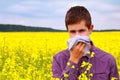 Pollen Allergy Royalty Free Stock Photo