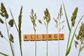 Creative concept, hay fever caused by grass pollens