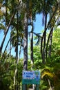 Allerton Garden - National Tropical Botanical Garden in Koloa on Kauai Island in Hawaii