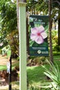 Allerton Garden - National Tropical Botanical Garden in Koloa on Kauai Island in Hawaii