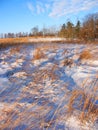 Allerton Park Prairie Illinois Royalty Free Stock Photo