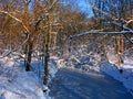 Allerton Park Winter Scenery Royalty Free Stock Photo