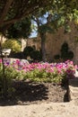 adorned with flowers in the medieval village of pals in northern spain Royalty Free Stock Photo