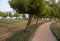 Alley in Al Warqa park of Dubai, UAE Royalty Free Stock Photo