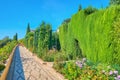 The alley along Generalife garden, Alhambra, Granada, Spain Royalty Free Stock Photo