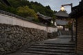 An alley around Nara Park, Japan. And Nigatsu-do as the background.