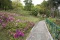 Alley arranged in the Shimen Forest Park