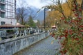 Alley in the autumn park. A bush with red berries Royalty Free Stock Photo