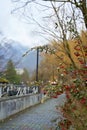 Alley in the autumn park. A bush with red berries Royalty Free Stock Photo