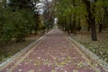 Alley in autumn park Nalchik.