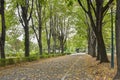 Alley in autumn in Ploiesti City, Romania