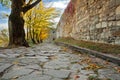 Alley of autumn trees near the wall of the ancient castle. Terebovlya, castle, Ternopil region, Ukraine