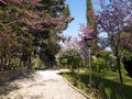 Alley in Balchik Palace gardens, Bulgaria