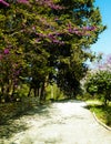 Alley in Balchik Palace gardens, Bulgaria