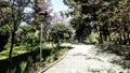 Alley in Balchik Palace gardens, Bulgaria