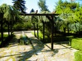 Alley in Balchik Palace gardens, Bulgaria