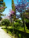 Alley in Balchik Palace gardens, Bulgaria