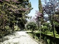 Alley in Balchik Palace gardens, Bulgaria