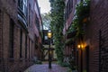 Alley with brownstones on both sides with climbing common ivy and street lamps