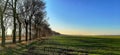 An alley that casts a shadow on the beautiful green fertile fields