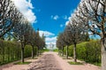 Alley in Catherine Park, Tsarskoye Selo Royalty Free Stock Photo