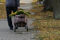 An alley in the cemetery with a man dragging a bunch of artificial flowers in his bag.