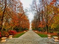 Alley of the Chairs and Gate of the Kiss in autumn HDR, by Constantin Brancusi. Path of Heroes.