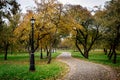 Alley in the city autumn park Royalty Free Stock Photo