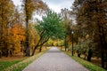 Alley in the city autumn park Royalty Free Stock Photo