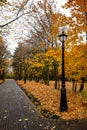 Alley in the city autumn park Royalty Free Stock Photo