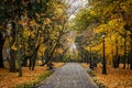 Alley in the city autumn park Royalty Free Stock Photo