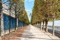 Alley in city park at autumn Royalty Free Stock Photo