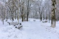 Alley of city park covered with snow Royalty Free Stock Photo