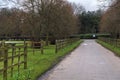 Alley in Cranford Park on an overcast day Royalty Free Stock Photo