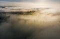 The alley of cypress trees on the covered with clouds meadows and fields shooted in the early misty morning. Above clouds aerial Royalty Free Stock Photo