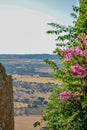 Alley with flowers and landscape background