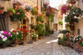 Alley with flowers pots in Spello, Umbria, Italy