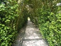 Alley in the gardens of the Balchik Palace, Bulgaria