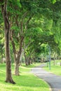 Alley and green trees in park Royalty Free Stock Photo