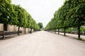 Alley with Green Trees in Tuileries garden in Paris Royalty Free Stock Photo