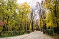 Alley in Herastrau park in autumn colors Bucharest