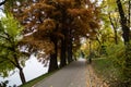 Alley in Herastrau park in autumn colors Bucharest. Royalty Free Stock Photo