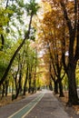 Alley in Herastrau park in autumn colors Bucharest. Royalty Free Stock Photo