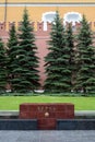 Alley of hero cities at the Tomb of the Unknown Soldier in the Alexander Garden.