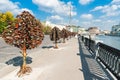 Alley of iron trees with wedding padlocks Royalty Free Stock Photo