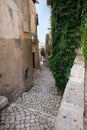 alley with ivy in the village medi evale di sermoneta