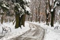 Alley in King Michael I Herastrau Park in Winter, Bucharest, Romania, with side benches and snow covered trees Royalty Free Stock Photo